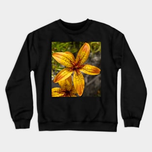 Yellow Spotted Lily Flower Closeup. Crewneck Sweatshirt